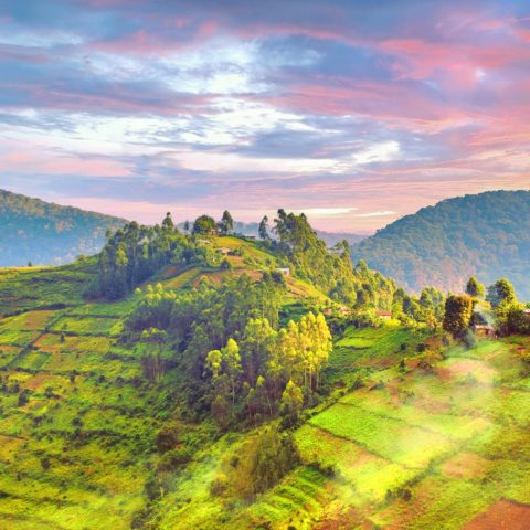 100v1f000001h1aar3D70