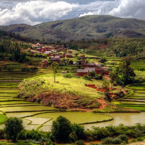 1677910898_1zoom-club-p-priroda-ugandi-15