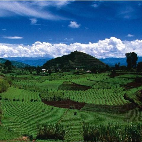 3f8c1668004cf3d55140a9e16839c20b