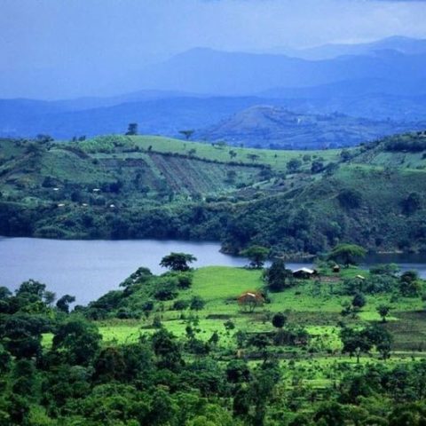 5edf8eb44b103f0e423471bf25d92ec9