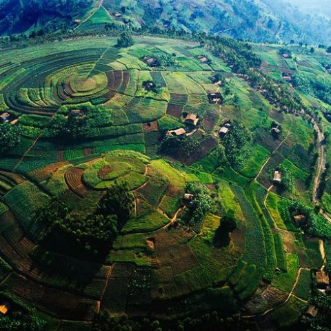 984a03ab51191fb0ec1ef69a5480cf95